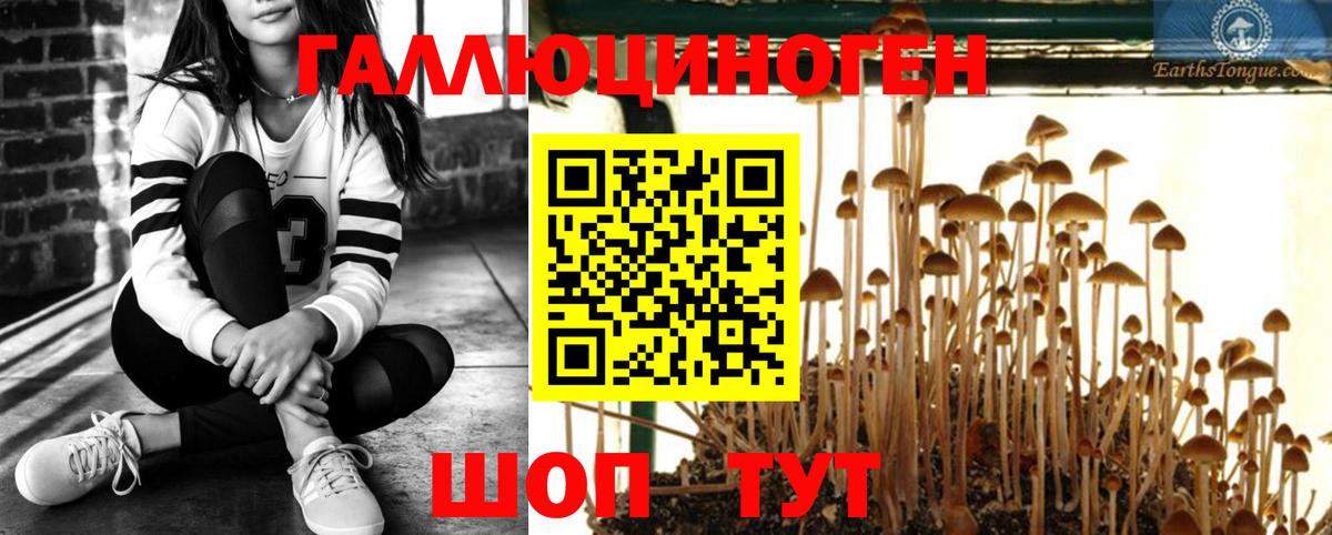 Галлюциногенные грибы MAGIC MUSHROOMS  дарнет шоп  Псилоцибиновые грибы Magic Shrooms  Канаш  Вход с VPN 